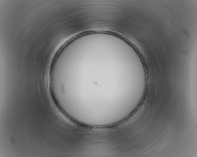 X0000114150840200910081111