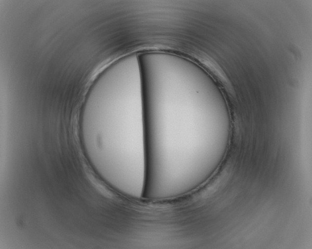 X0000114150842200910081111