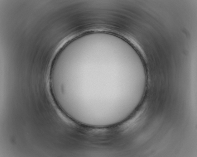 X0000114150845200910081111