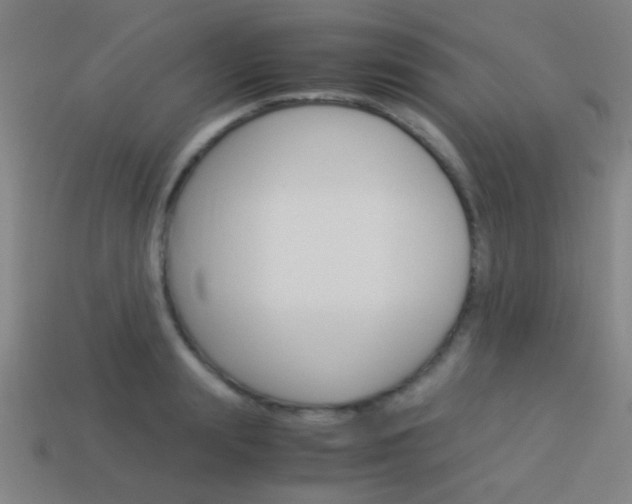 X0000114150847200910081111