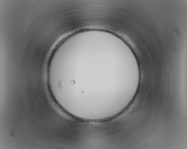 X0000114150848200910081111