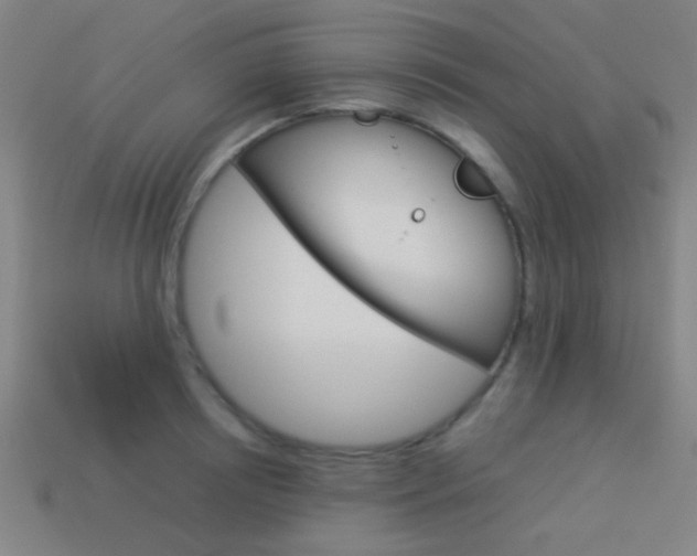 X0000114150850200910081111