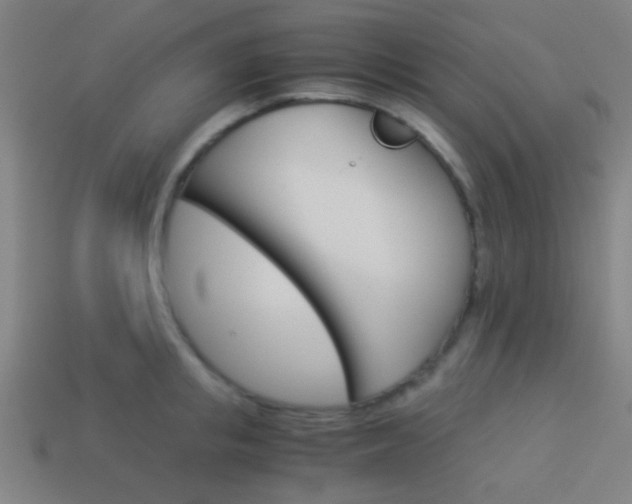 X0000114150853200910081111