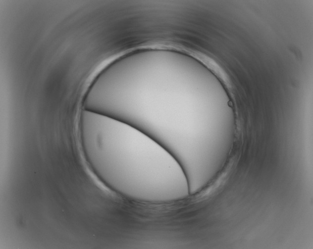 X0000114150855200910081111