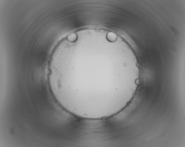 X0000114150856200910081111