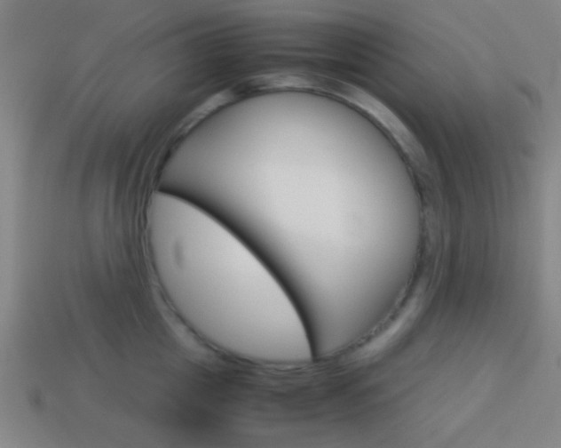 X0000114150857200910081111