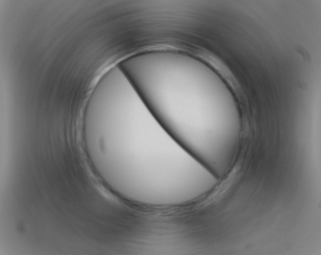 X0000114150858200910081111