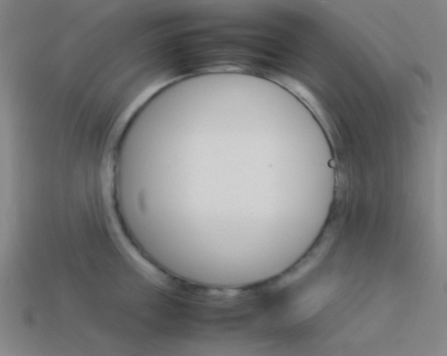 X0000114150859200910081111