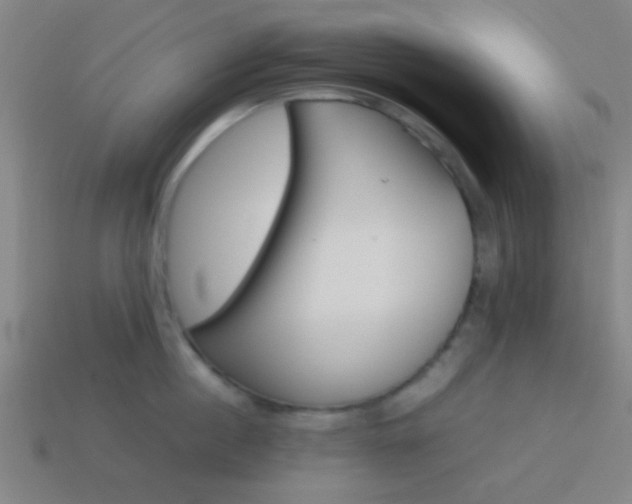 X0000114150860200910081111