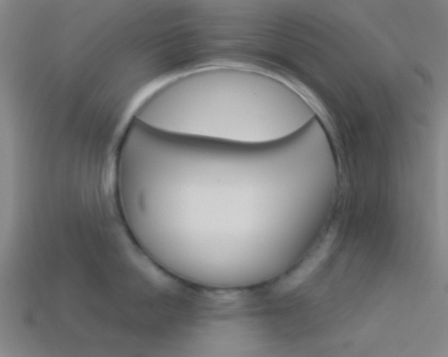 X0000114150862200910081111