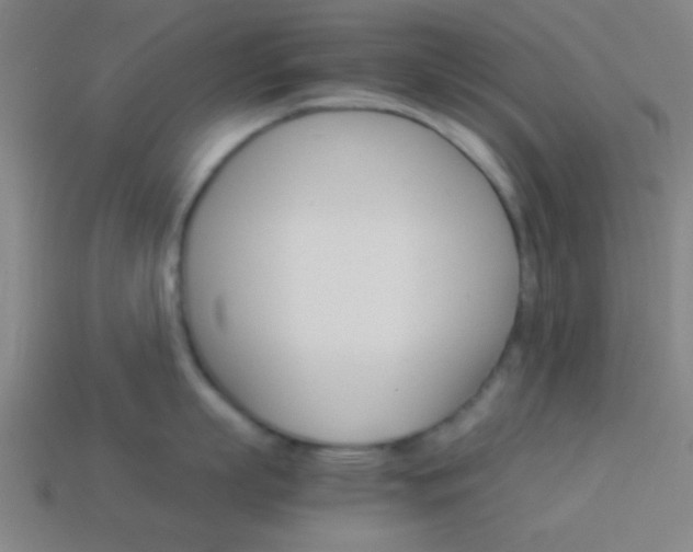 X0000114150863200910081111