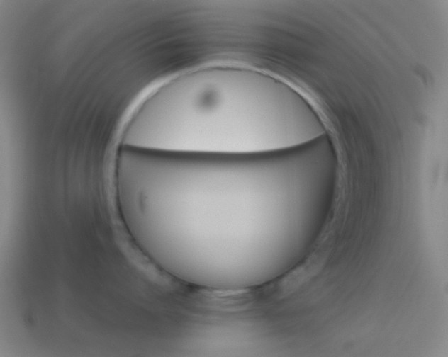 X0000114150864200910081111