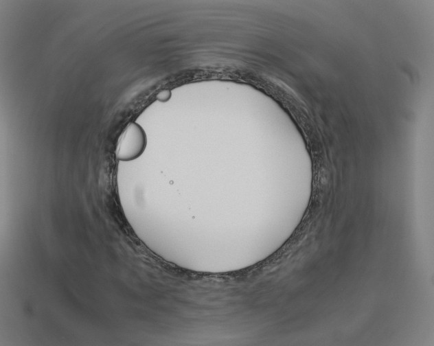 X0000114150869200910081110
