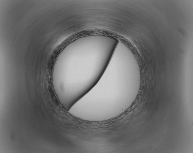 X0000114150871200910081110