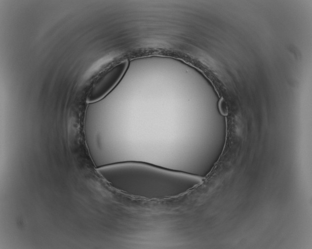 X0000114150872200910081110