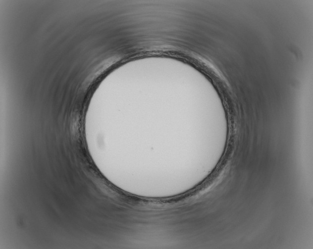 X0000114150873200910081110