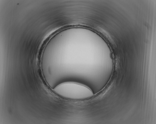 X0000114150876200910081110