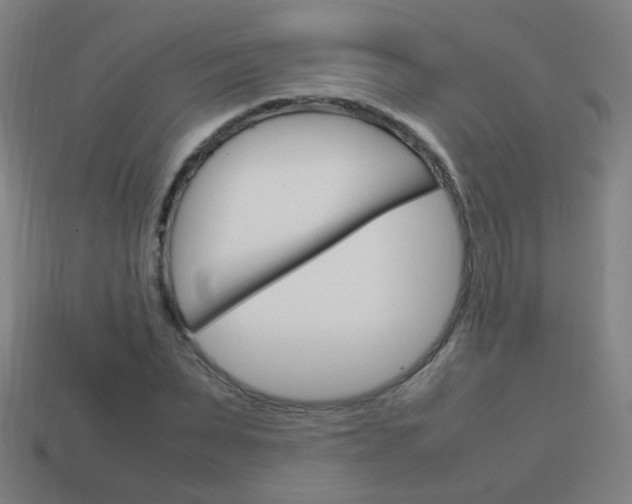X0000114150879200910081110