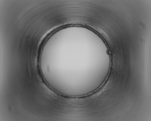 X0000114150880200910081110