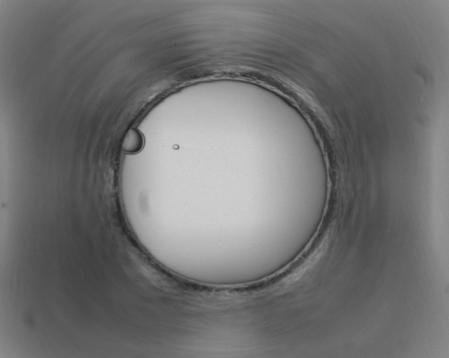 X0000114150881200910081110