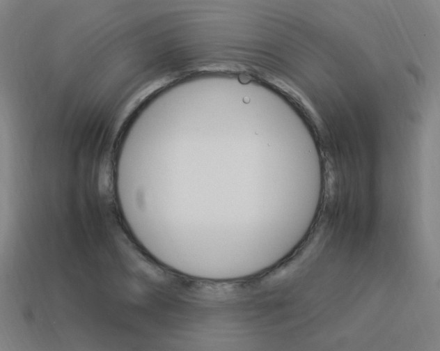 X0000114150882200910081110