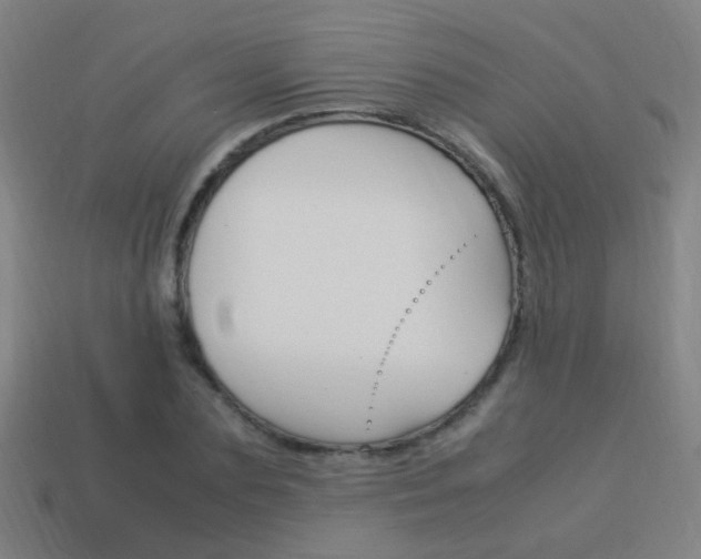 X0000114150883200910081110