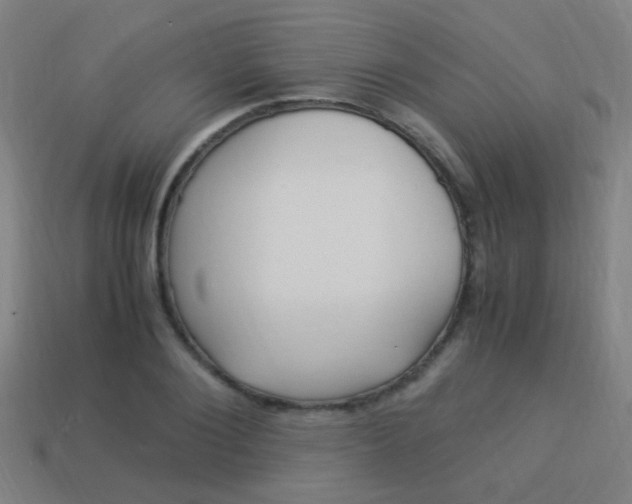 X0000114150884200910081110