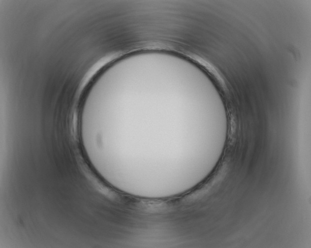 X0000114150886200910081110