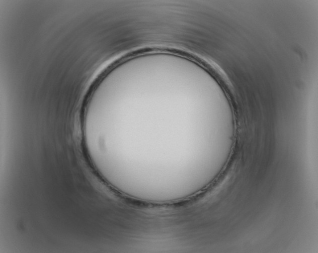 X0000114150887200910081110