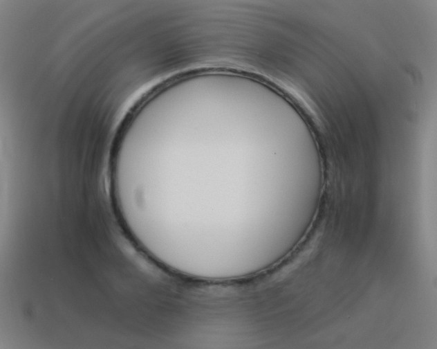 X0000114150888200910081110
