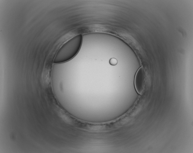X0000114150889200910081110