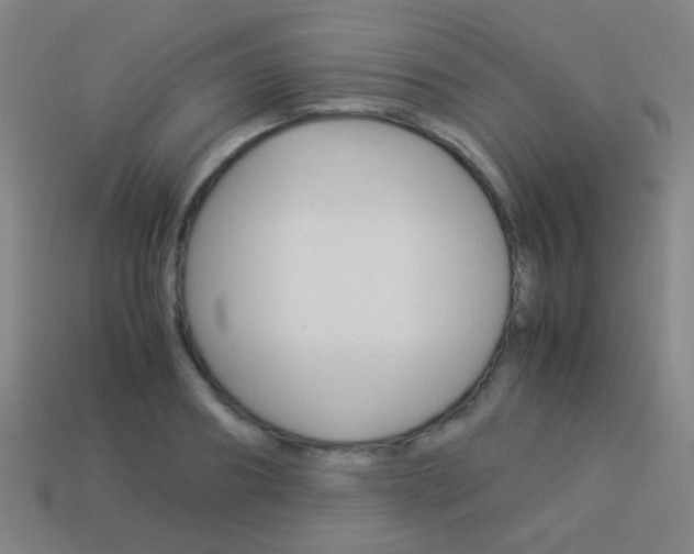 X0000114150890200910081110