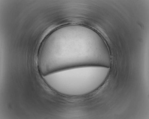 X0000114150891200910081110