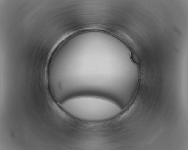 X0000114150892200910081110