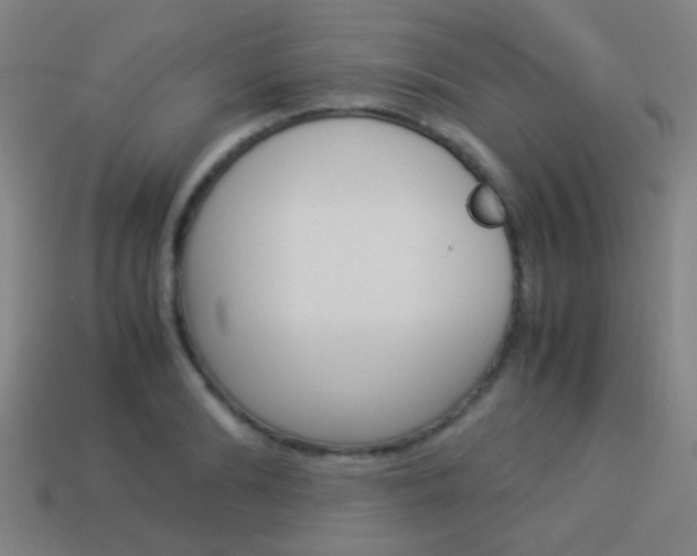 X0000114150894200910081110