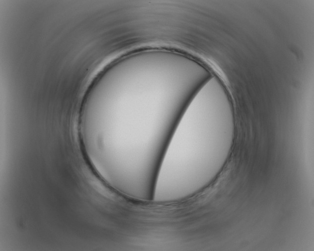 X0000114150895200910081110