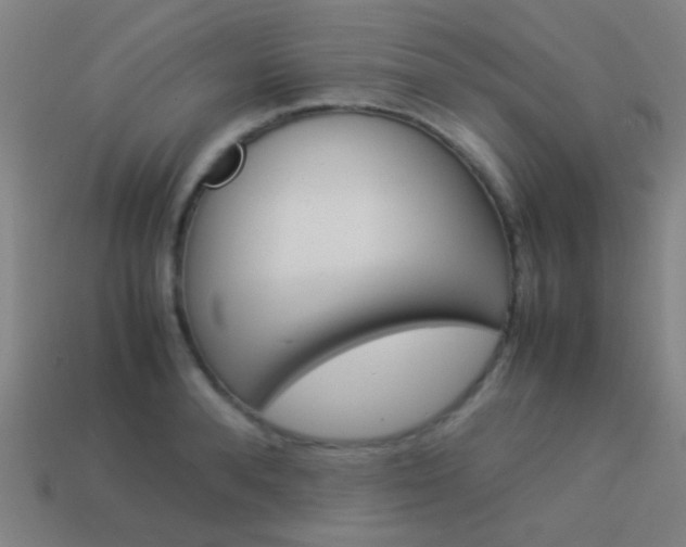 X0000114150896200910081110