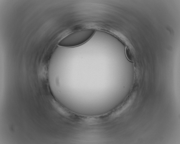 X0000114150897200910081110