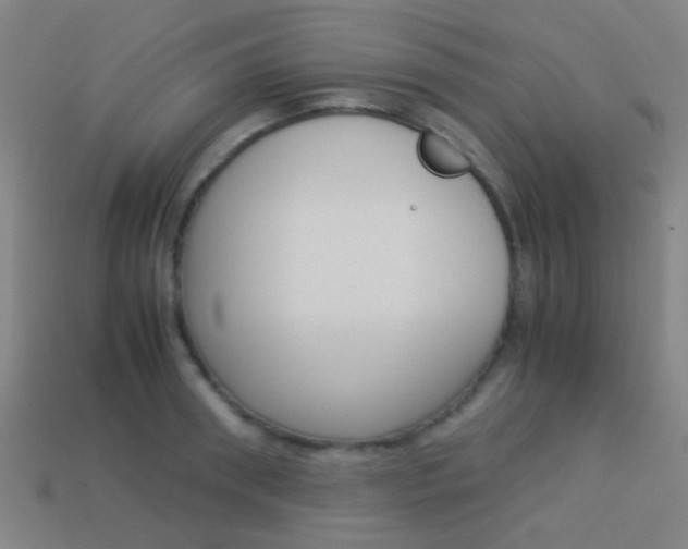 X0000114150898200910081110