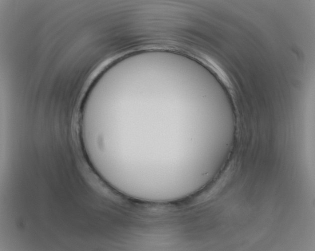 X0000114150899200910081110