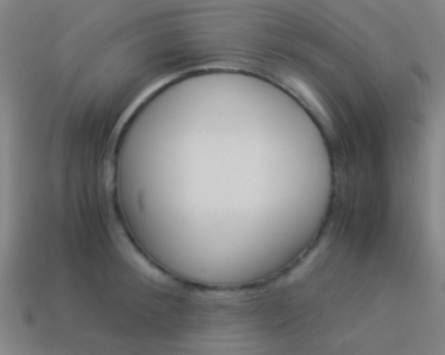 X0000114150900200910081110