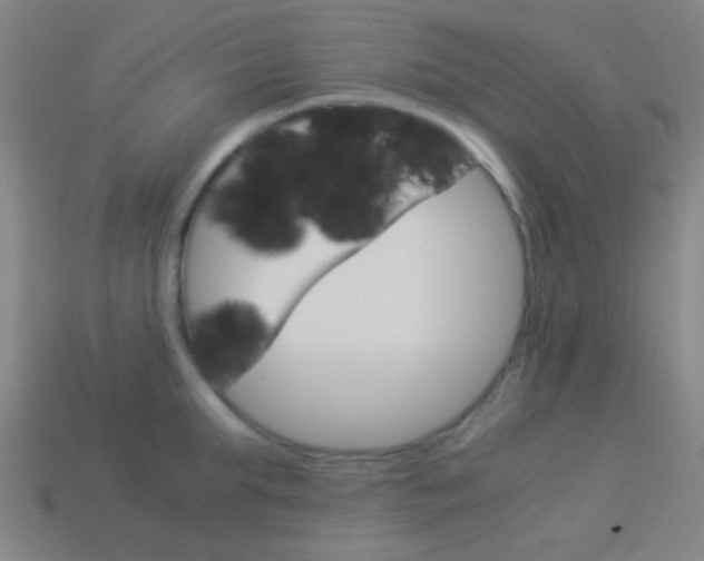 X0000114150903200910081110