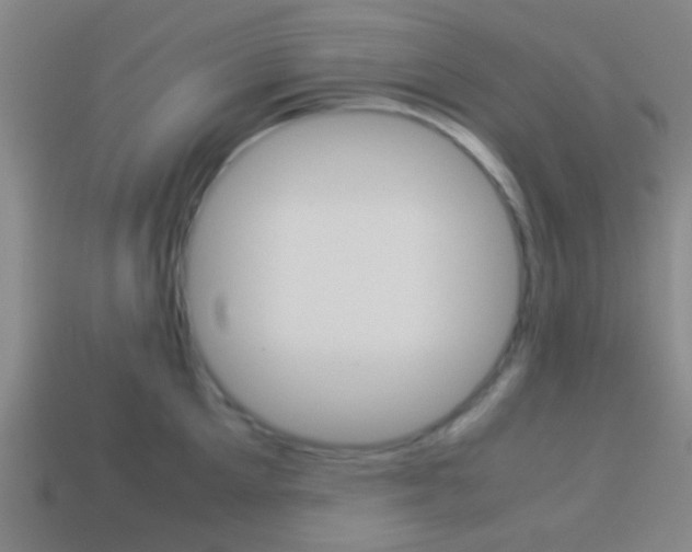 X0000114150905200910081110