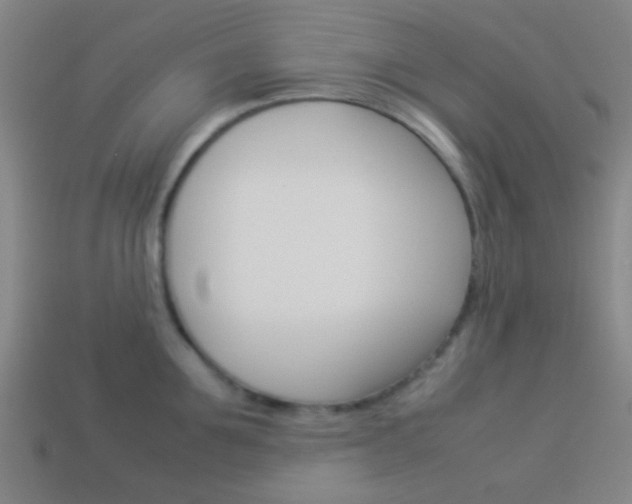 X0000114150907200910081110