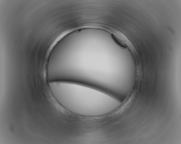 X0000114150908200910081110