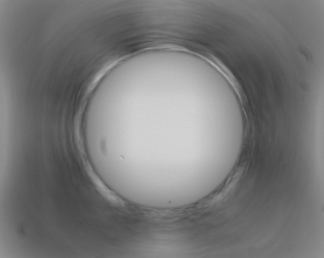 X0000114150909200910081110