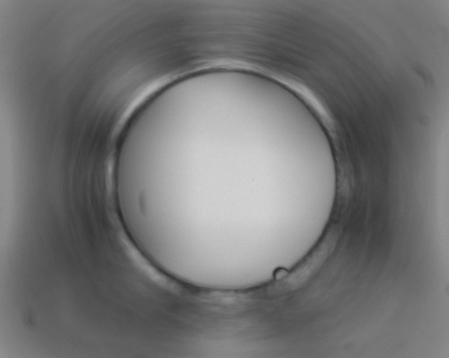 X0000114150910200910081110