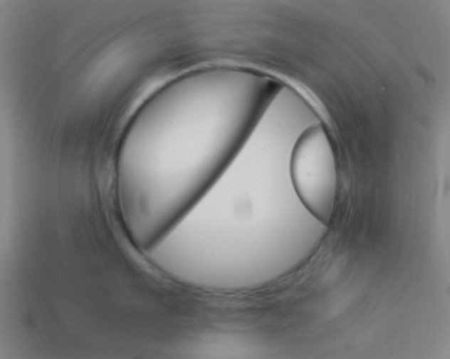 X0000114150911200910081110