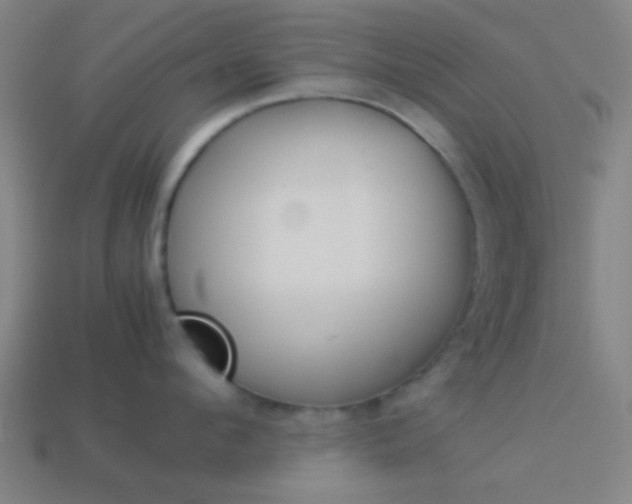 X0000114150912200910081110