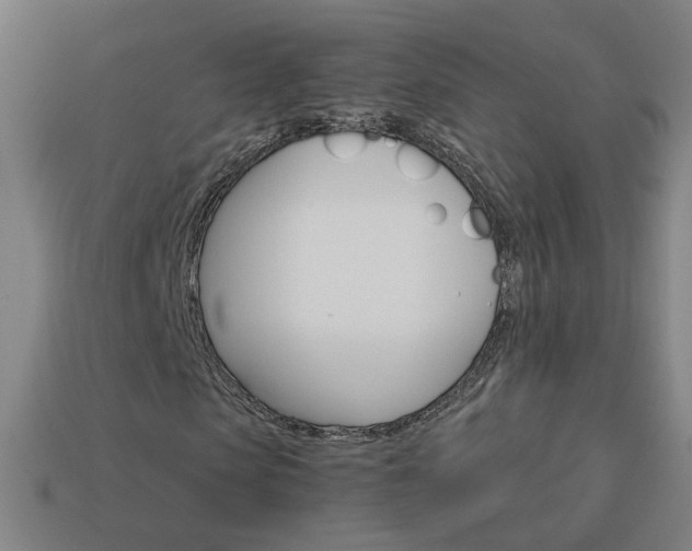 X0000114150913200910081109